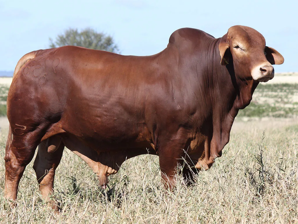 Lot-3-Minlacowie-Xiomar-9159