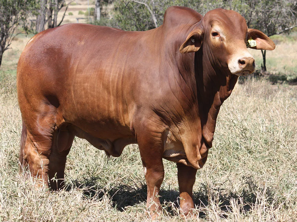 Lot-4-Minlacowie-Xavian-9213