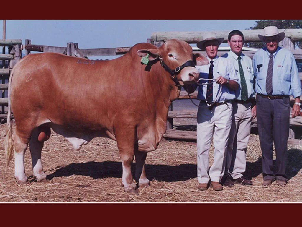 Wingfield-Noah-pictured-with-the-late-Frank-Hodgson,-David-Connoly-and-Derrick-Spann-2000--DN-Sale-topper-$32,000 Wingfield-Noah-pictured-with-the-late-Frank-Hodgson,-David-Connoly-and-Derrick-Spann-2000--DN-Sale-topper-$32,000